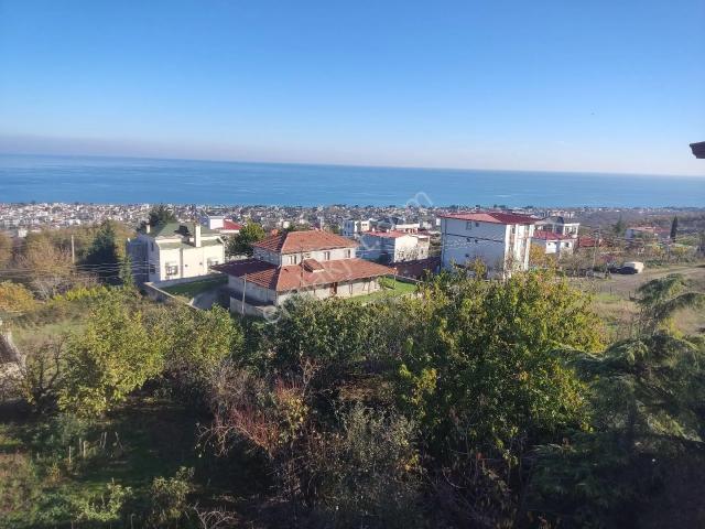 Atakum, Samsun içerisinde satılık mülk