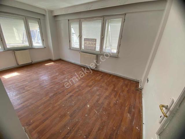 İstanbul Merkez, İstanbul içerisinde kiralık mülk