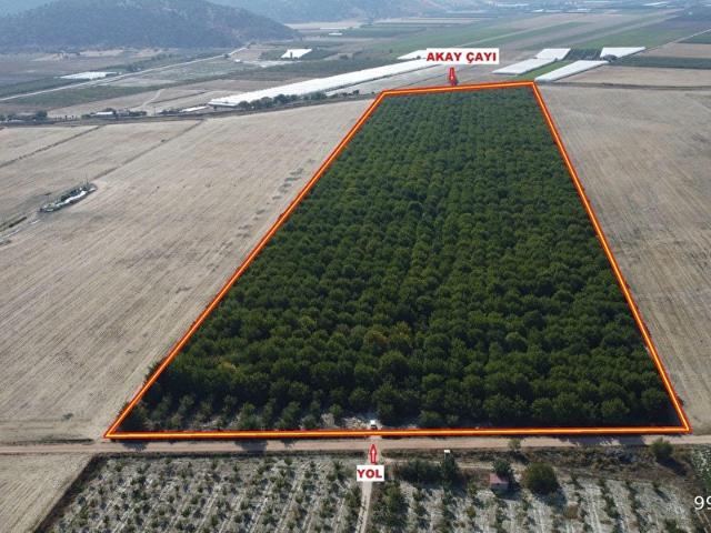 Elmali, Antalya içerisinde satılık mülk