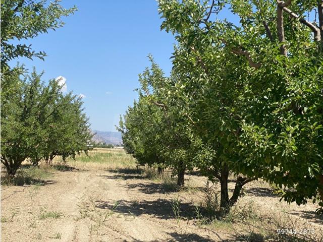 Elmali, Antalya içerisinde satılık Arsa