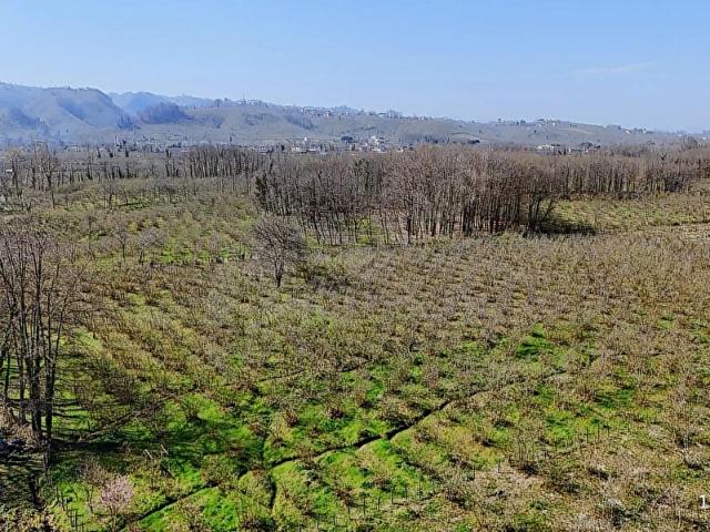 Terme, Samsun içerisinde satılık Arsa