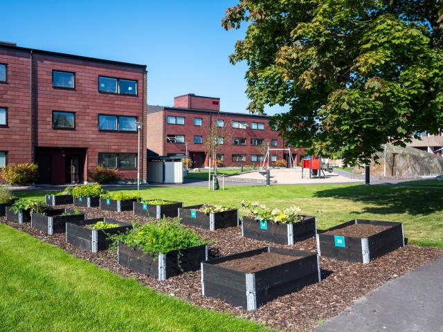 Lägenhet hyra i Karlshamn, Blekinge