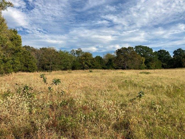 Land for sale in Howe, Oklahoma