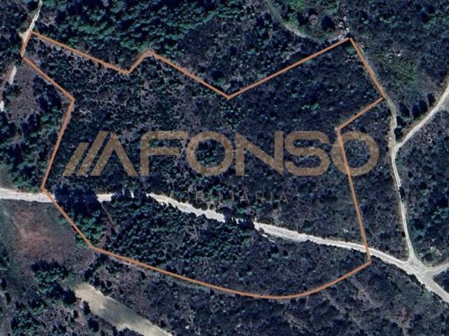 Terreno venda em Alijó, Vila Real