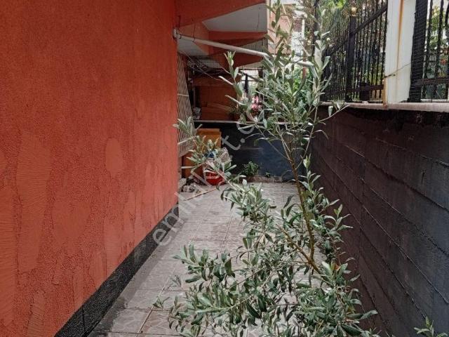 İstanbul Merkez, İstanbul içerisinde kiralık mülk
