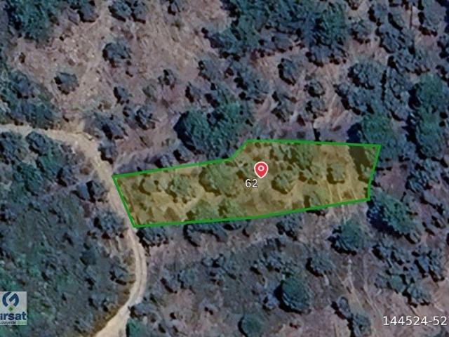 Milas, Muğla içerisinde satılık mülk