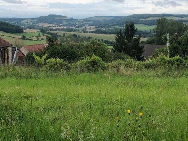 Terrain vente à Montbard, Alise-sainte-reine