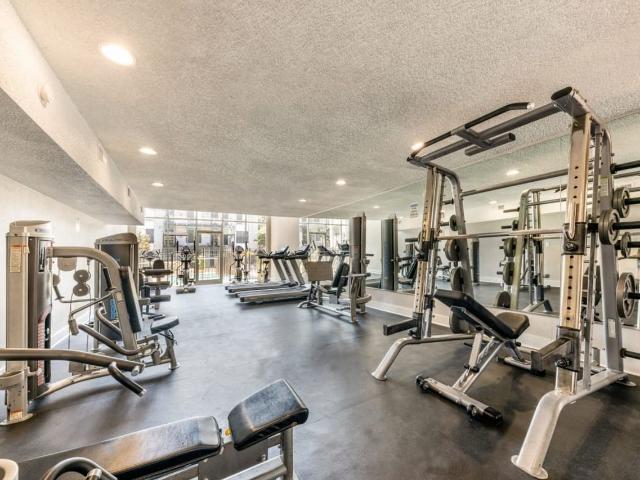 Apartment for rent in Austin, Texas