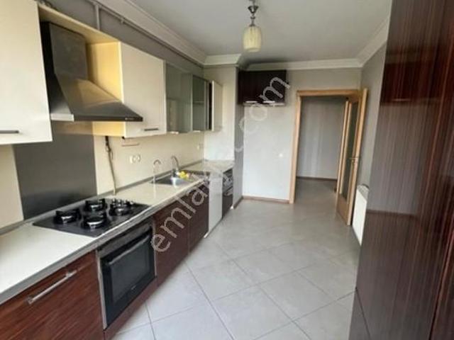 Yenişehir Mahallesi, Pendik içerisinde kiralık mülk