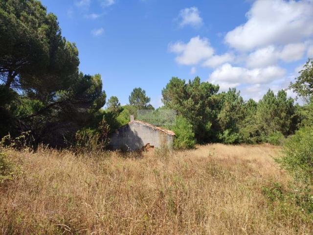 Terreno venda em Aljezur, Faro