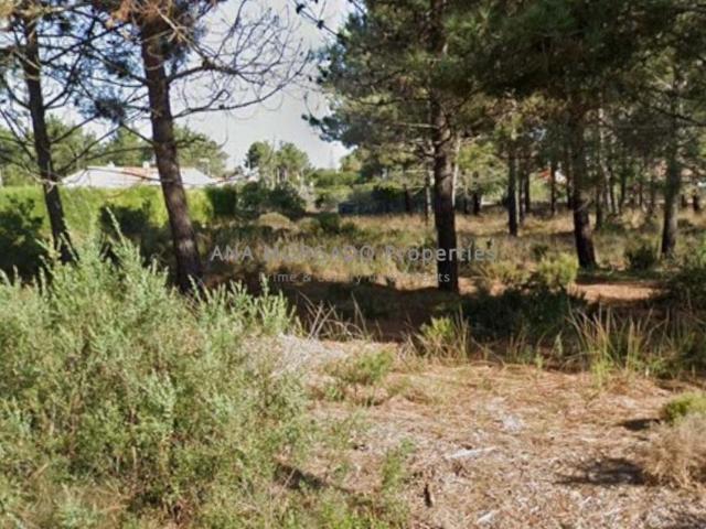 Terreno venda em Aljezur, Faro