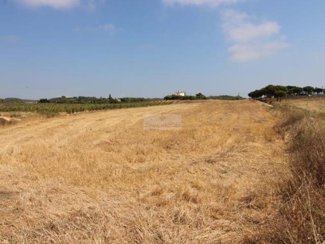 Terreno venda em Aljezur, Faro