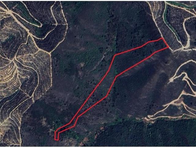 Terreno venda em Aljezur, Faro