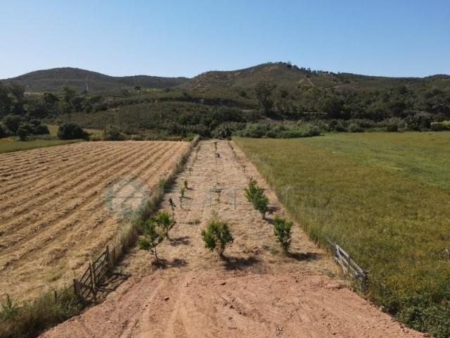 Terreno venda em Aljezur, Faro