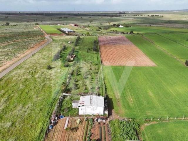 Terreno venda em Aljustrel Terreno venda em Aljustrel