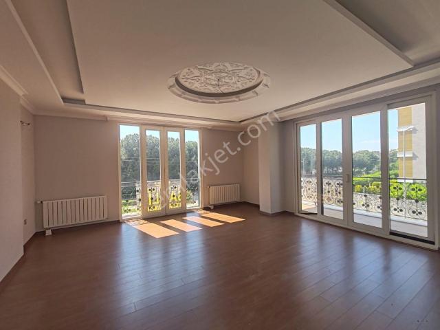 Yalova Merkez, Yalova içerisinde kiralık mülk
