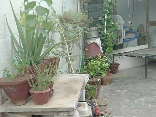 House for sale in North Waziristan, Federally Administered Tribal Areas fata
