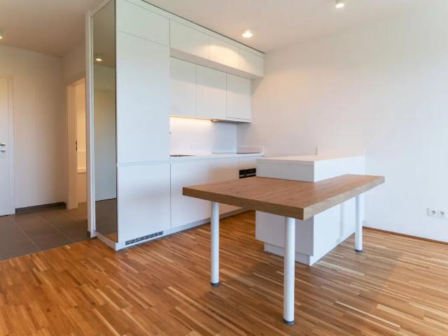 Apartment mieten in Per-Albin-Hansson-Siedlung, Wien