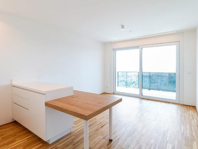 Apartment mieten in KG Hütteldorf, Wien