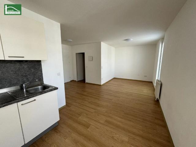 Apartment mieten in Donaustadt, Wien