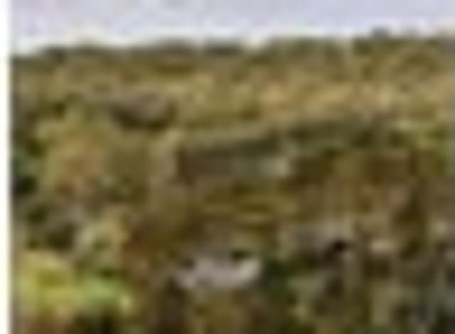 Land for sale in Ohaeawai, Northland