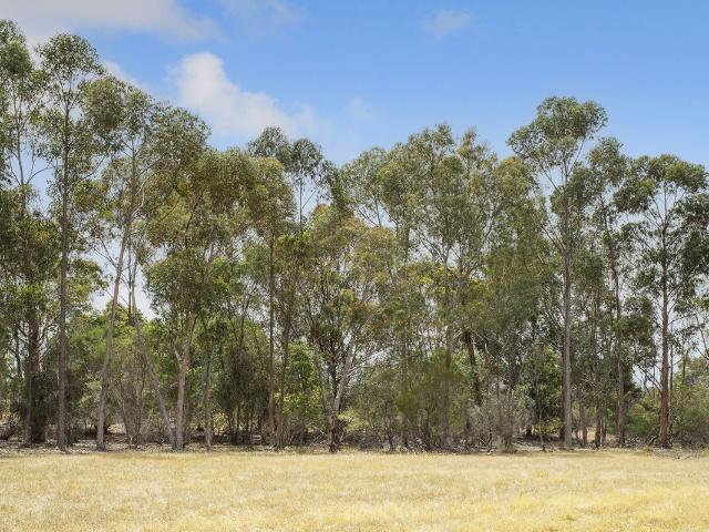 Land for sale in Boyanup, Western Australia