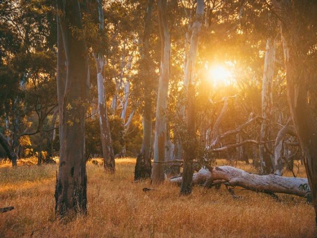 Land for sale in Boyanup, Western Australia