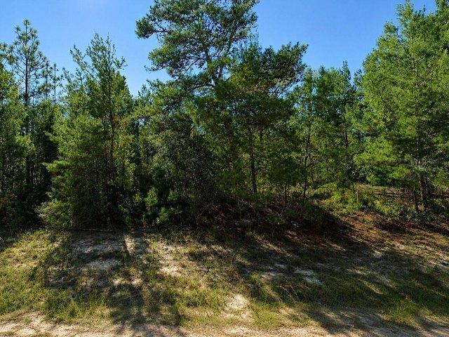 Land for sale in Chipley, Florida