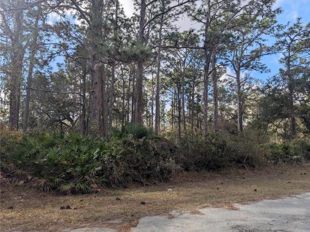Land for sale in Babson Park, Florida