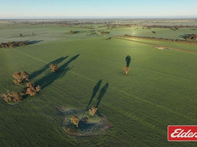 Cottage for sale in Mathoura, New South Wales