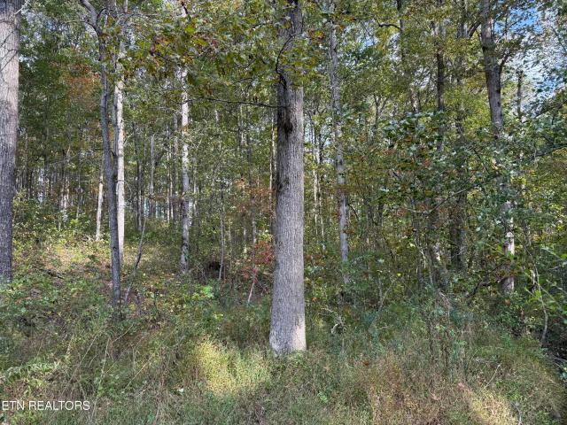 Land for sale in Tennessee