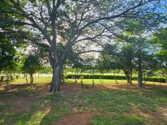 Farm for sale in Alldays, Limpopo