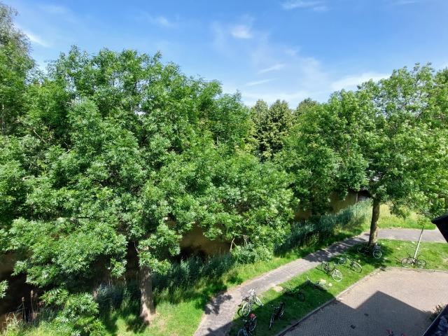 Kamer te huur in Noord, Amsterdam