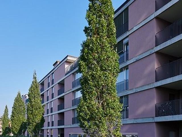 Apartment mieten in Frauenfeld, Thurgau