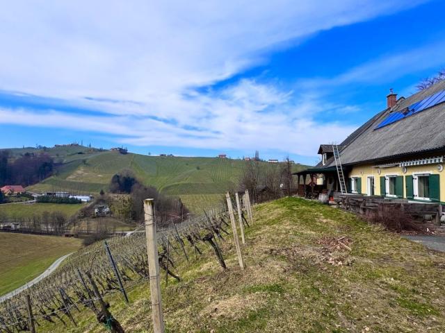 Haus kaufen in Gamlitz, Steiermark