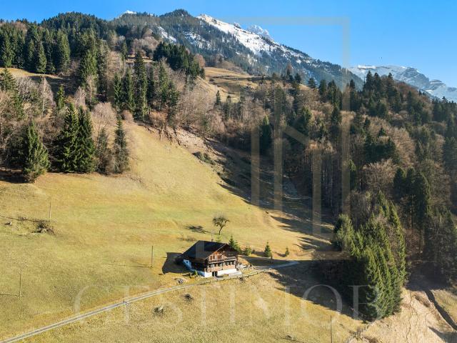 Haus kaufen in Val-d'Illiez, Wallis