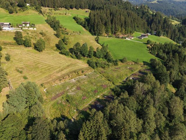 Immobilie kaufen in Hopfgarten i.Br., Tirol