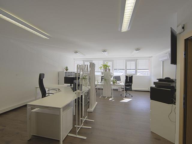 Büro kaufen in Les Mayens-de-Sion, Wallis