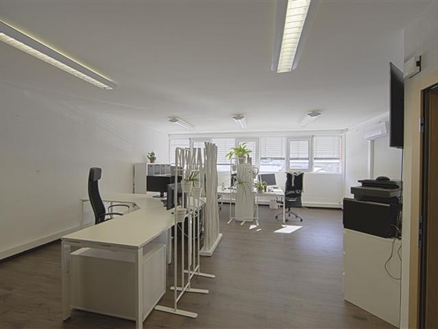 Büro kaufen in Les Mayens-de-Sion, Wallis