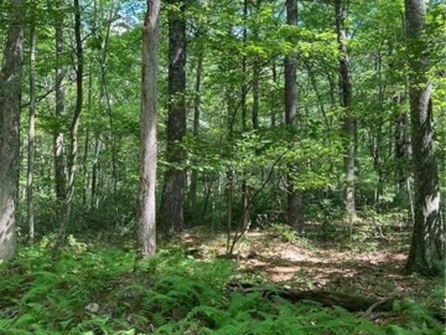 Land for sale in Wurtsboro, New York
