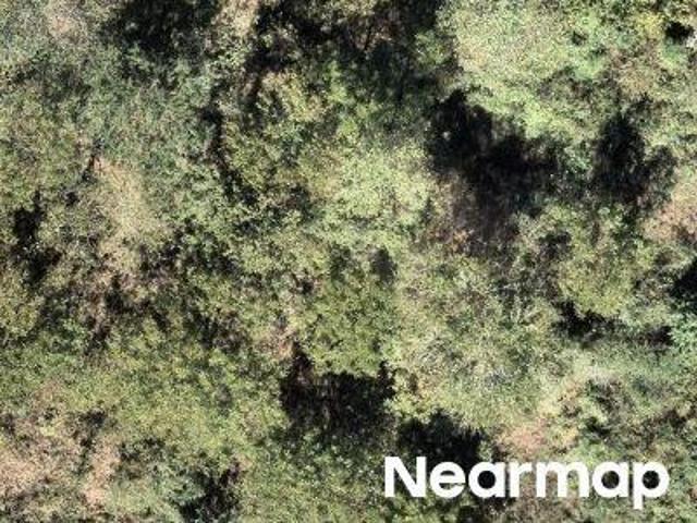 Property for sale in Murphy, North Carolina