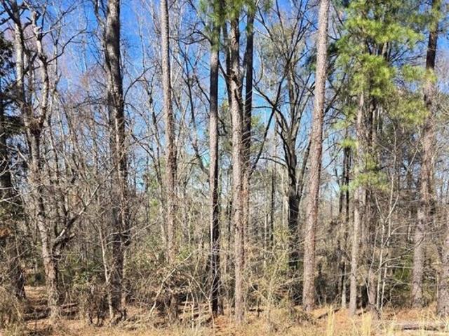 Land for sale in Rock Hill