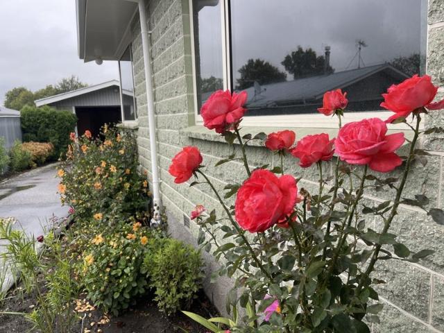 House for rent in Hakatere, Canterbury