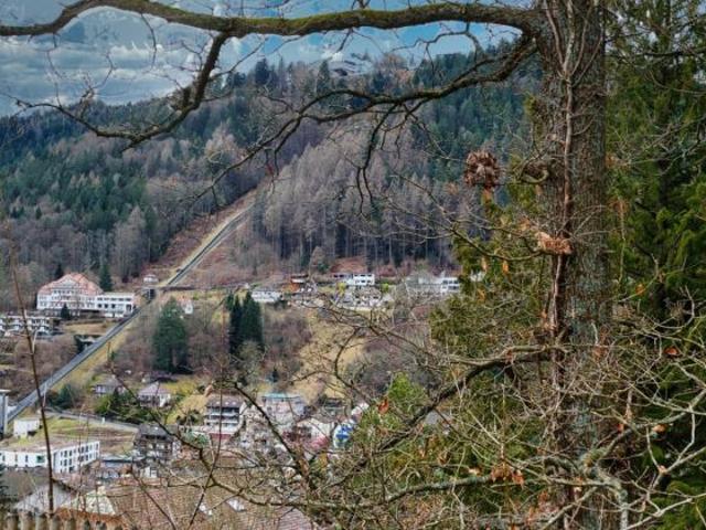 Erdgeschosswohnung kaufen in Bad Wildbad, Baden-Württemberg