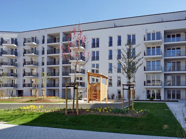 Apartment mieten in Johannstadt, Dresden