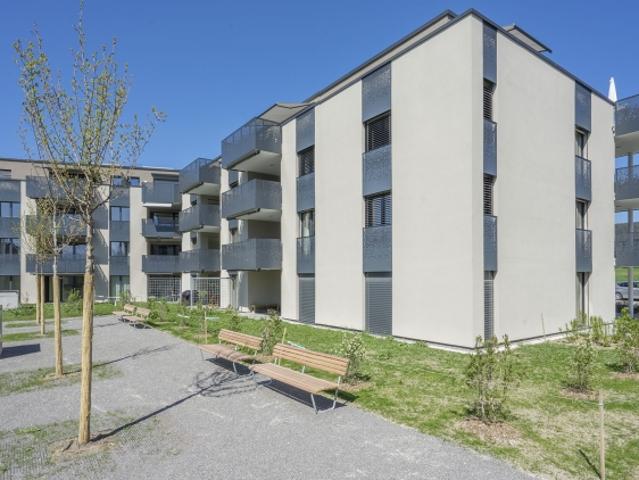 Wohnung mieten in Münsingen, Bern