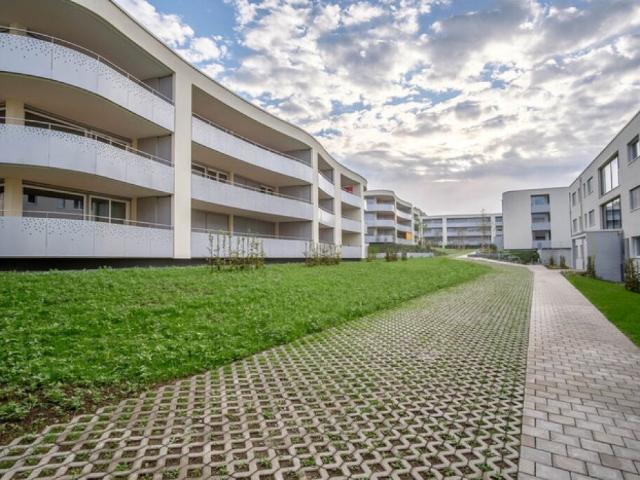 Wohnung mieten in Beringen, Schaffhausen