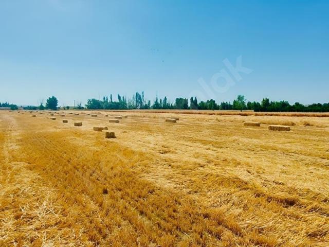 Tepebaşi, Eskişehir içerisinde satılık Arsa