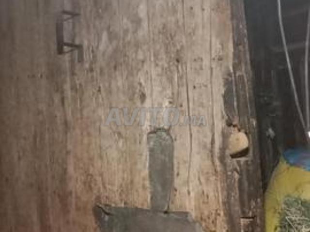 Maison vente à Mellal