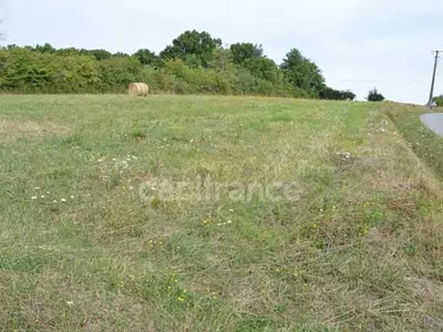 Terrain vente à Cosne-Cours-sur-Loire, Alligny-cosne